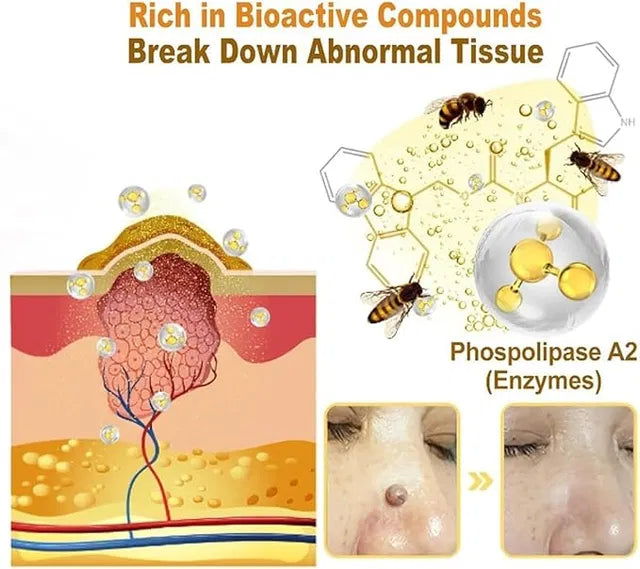 Zidella Skin Lighting Blemish Cream 50g (Pack of 2)